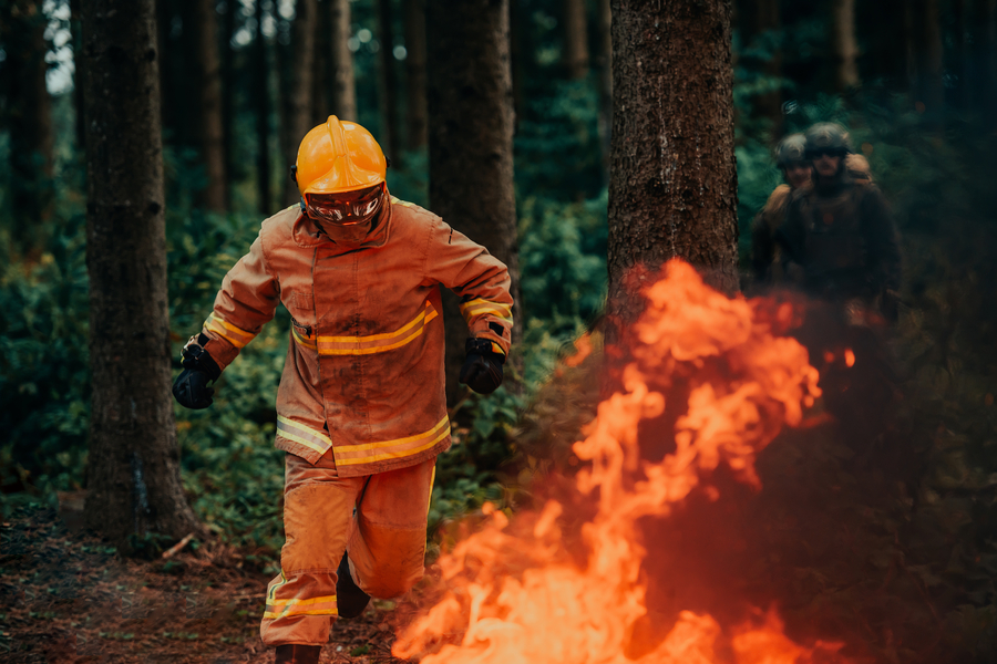 prefab homes appreciate